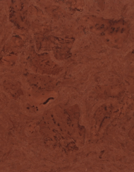 APC Cork Flooring - Glue Down Tile - Mirage Brown - 12"x12"x 4.8mm - Matt Varnish - 72 SF
